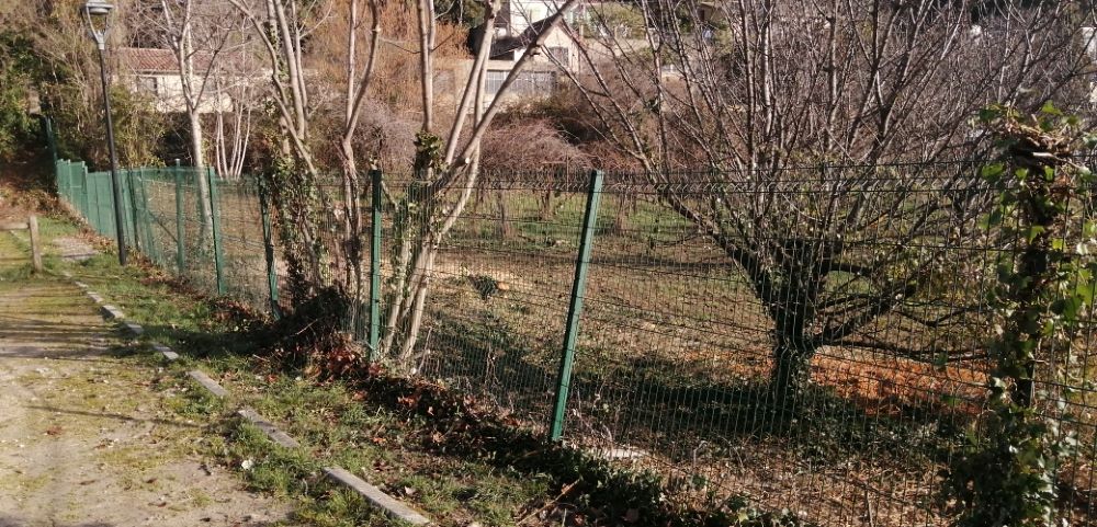 Débroussaillage et taille des arbres du parking de l’étang