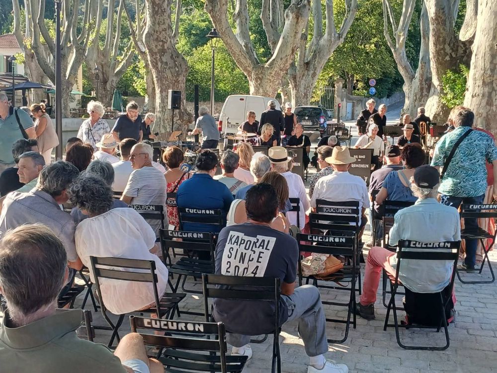 personnes platanes etang concert
