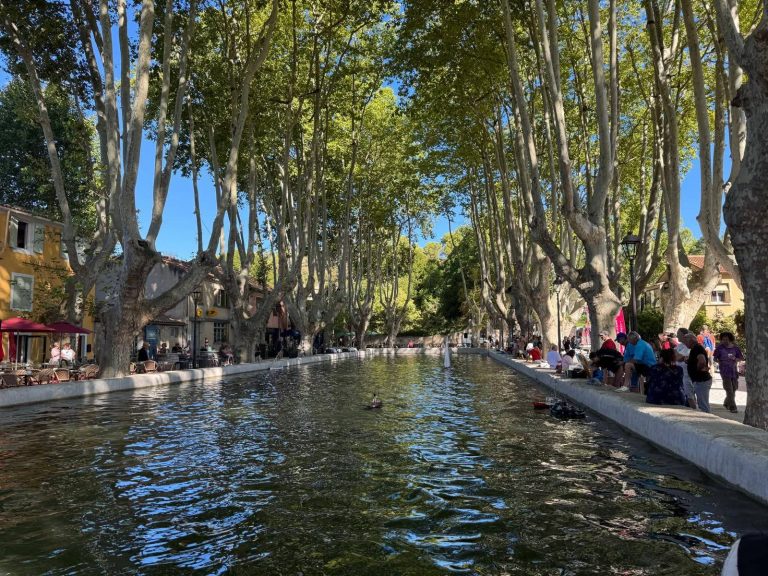 etang platane maquettes personnes