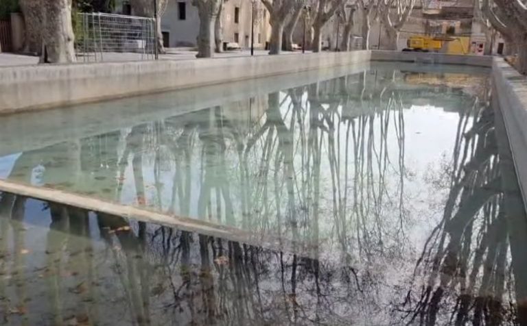bassin eau reflets platanes