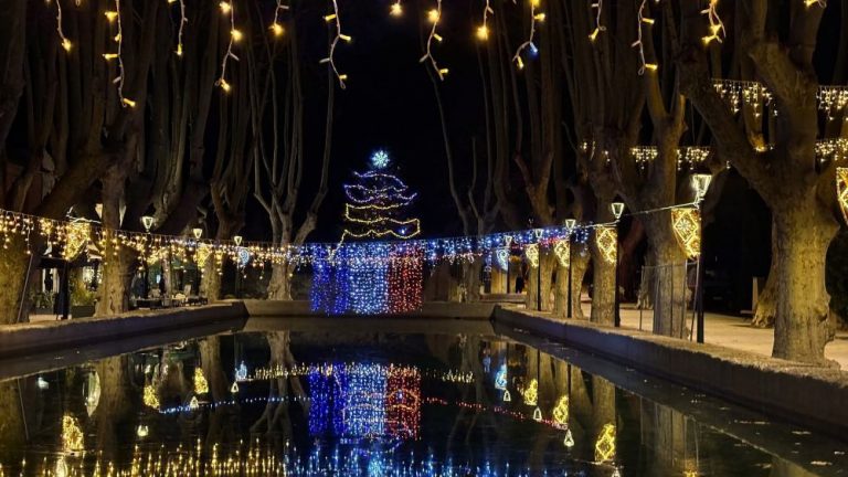 bassin sapin illuminations