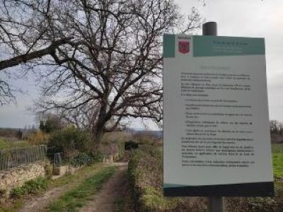 panneau chemin arbre