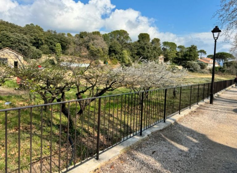 barrieres champs oliviers