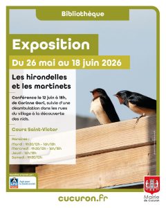 Exposition martinets et hirondelles ibliothèque de cucuron mai 2026