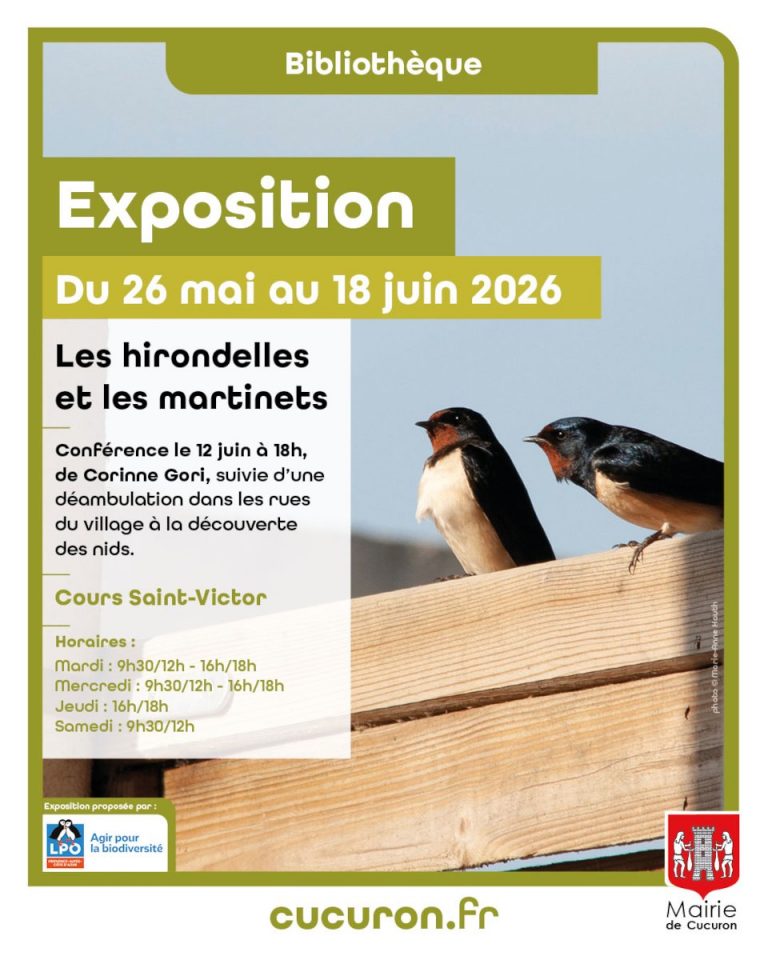 Exposition martinets et hirondelles ibliothèque de cucuron mai 2026