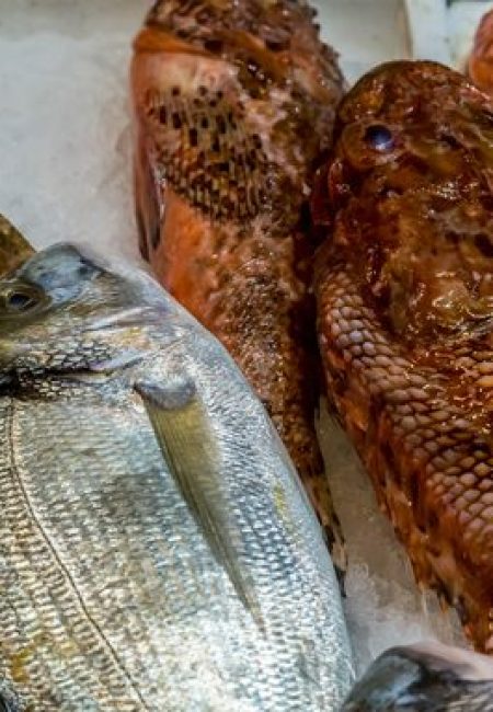 poissons