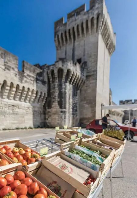 marc etal remparthe-avignon