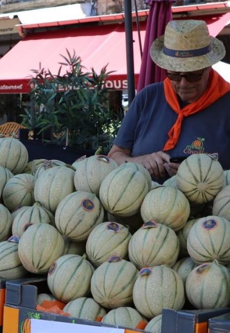 marche melons etal vendeur